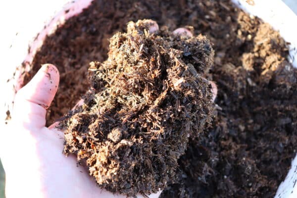 A hand holds a clump of PlantGrow Organic Rose Mix, dark and rich in texture, with more of the freshly gathered compost visible in the background.