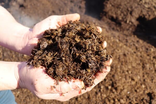 Hands holding a large pile of PlantGrow Natural Soil Conditioner against a background of more. The material looks dense and organic, perfect for gardening or farming.