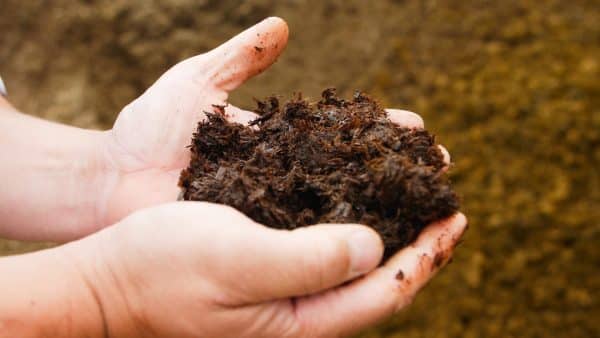 A close-up photograph showing Natural Soil mulch and fertiliser