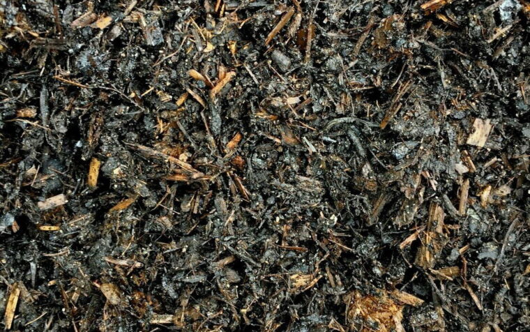 PlantGrow BIO Mix 50/50 compost: dark, crumbly peat-free growing medium with organic fibre and composted material.