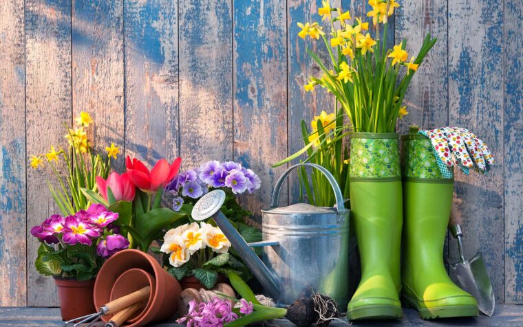 Garden tools, green wellington boots, watering can, and colourful spring flowers including daffodils, tulips, and primulas arranged against weathered wooden boards.