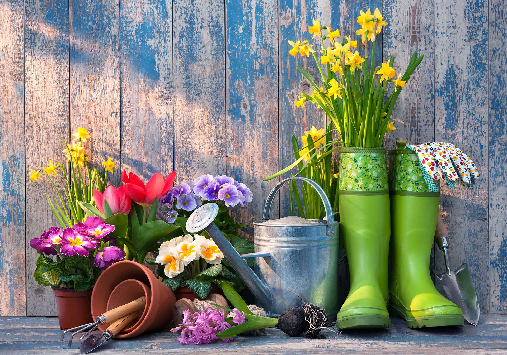 Flowers and gardening equipment