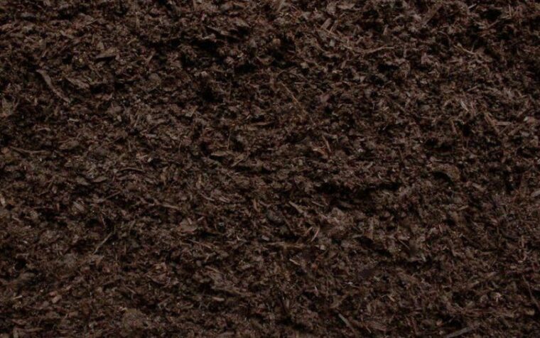 Close-up of dark brown peat-free compost with organic matter and fibre visible throughout