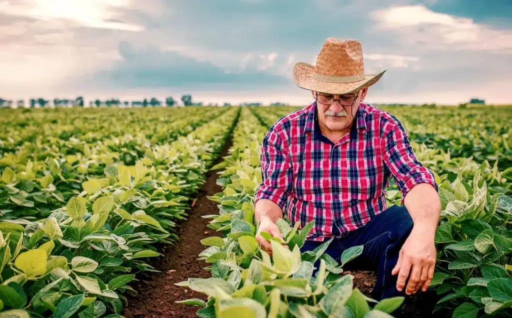 Organic farmer