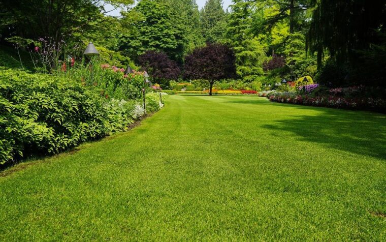 Lush green lawn with flowering borders and mature trees in a manicured garden setting.