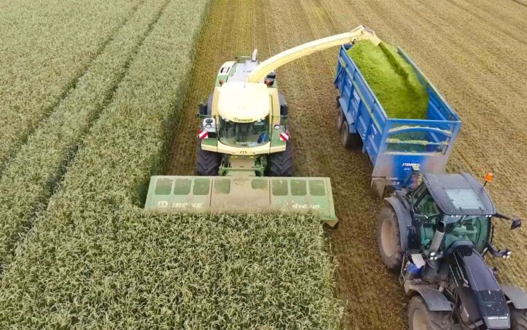 Combine harvester with auger unloading freshly cut crop into blue trailer during agricultural harvest operation.
