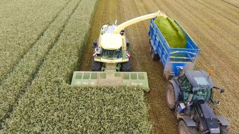 An image capturing the harvesting of crops intended for biofuel production, with the by-product being used to create organic fertiliser