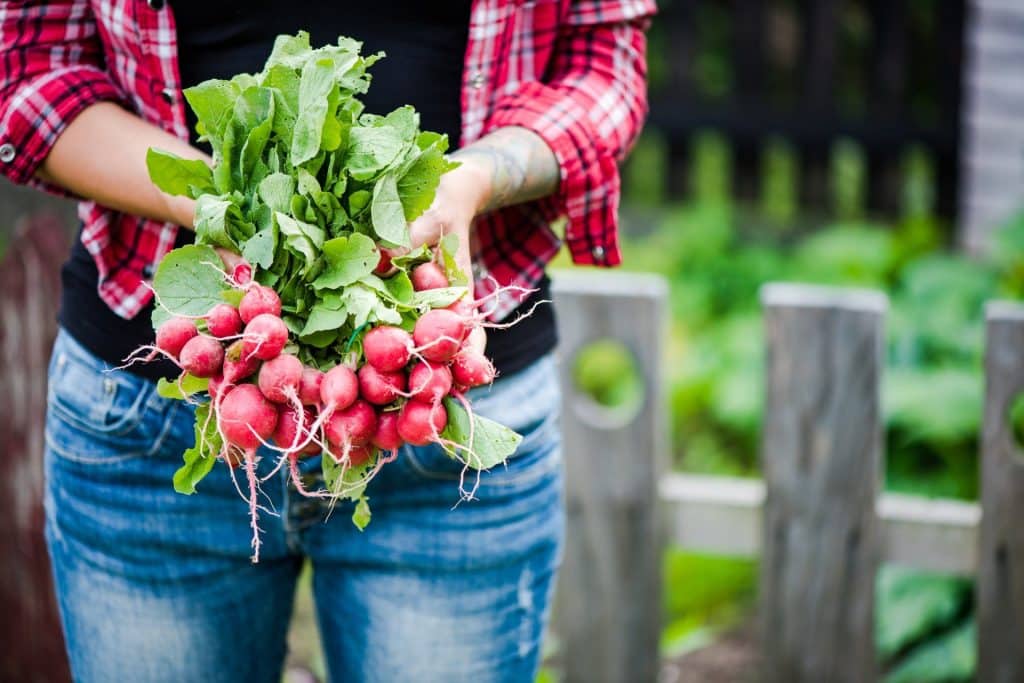 Organic gardening