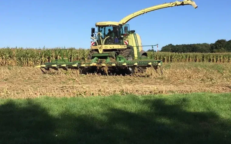 Yellow forage harvester with extended chute cutting maize crop in field for plant-based fertiliser production.
