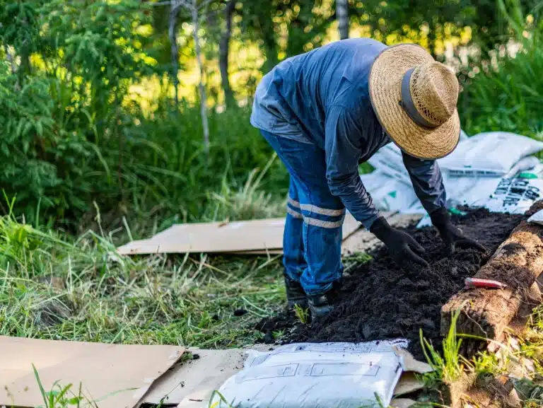 An image capturing a gardener practicing the 'No Dig' gardening method