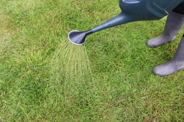 An image capturing a gardener watering a lawn with liquid fertiliser