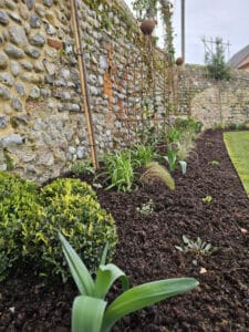 A garden bed with young green plants and shrubs growing in dark soil, bordered by a stone and brick wall with trellises and climbing structures in the background. The scene looks tidy and well maintained.