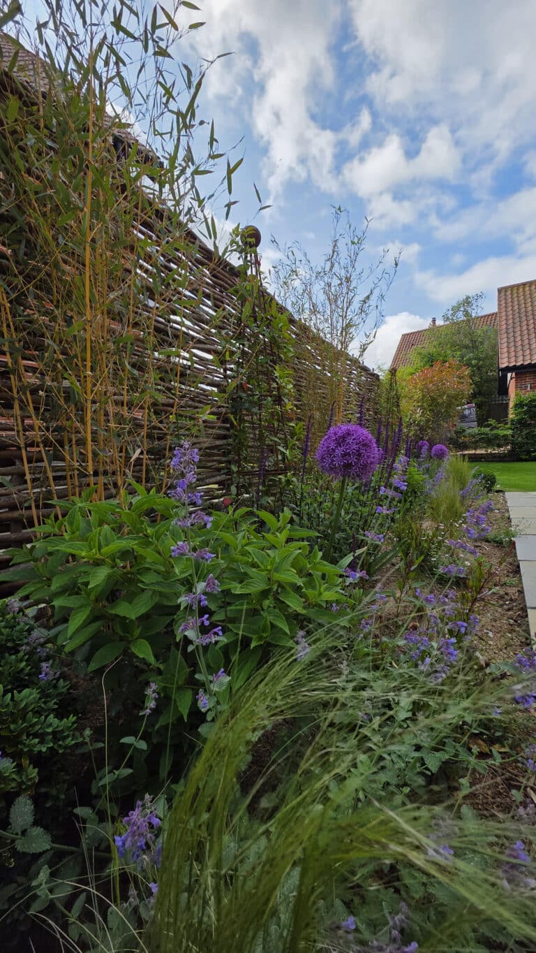 A garden bed with tall grasses and purple flowers runs alongside a woven wooden fence under a partly cloudy sky, with houses and trees visible in the background.