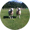 jayne rhodes profile picture