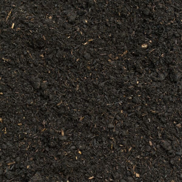 Dark, fine-textured peat-free compost soil with visible organic matter and fibres throughout.
