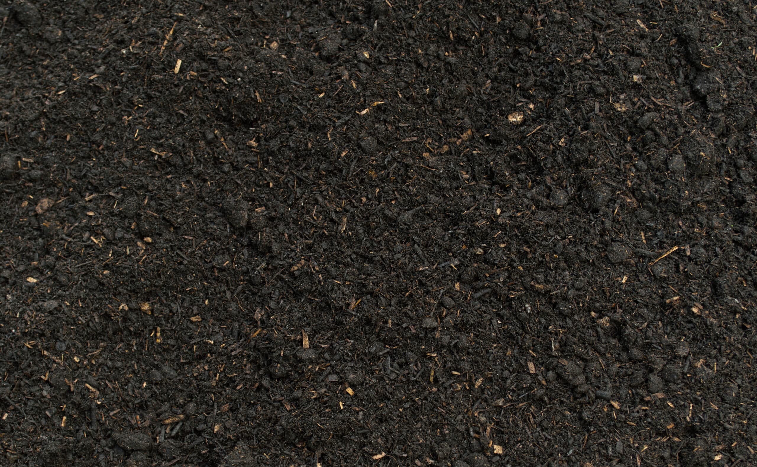 Dark, fine-textured peat-free compost soil with visible organic matter and fibres throughout.