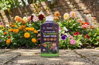 PlantGrow all purpose plant food bottle displayed on garden path with blooming flowers behind