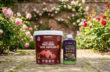 PlantGrow rose fertiliser set with natural rose fertiliser and all-purpose plant food displayed against blooming roses in garden.