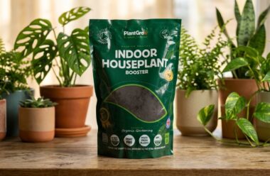 PlantGrow Indoor Houseplant Booster 2.5 litre bag displayed among potted houseplants on wooden surface.