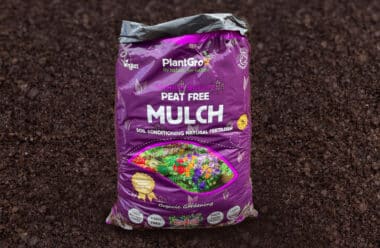 PlantGrow peat-free mulch bag on soil, purple packaging labelled soil conditioning natural fertiliser.