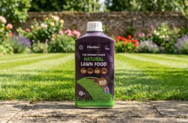 PlantGrow Natural Lawn Food Liquid bottle positioned on garden pathway with flowering borders and lawn visible behind.