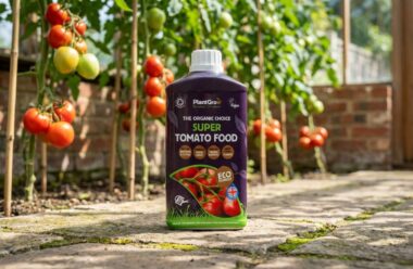 PlantGrow Super Tomato Food bottle displayed in a greenhouse with growing tomato plants behind it.