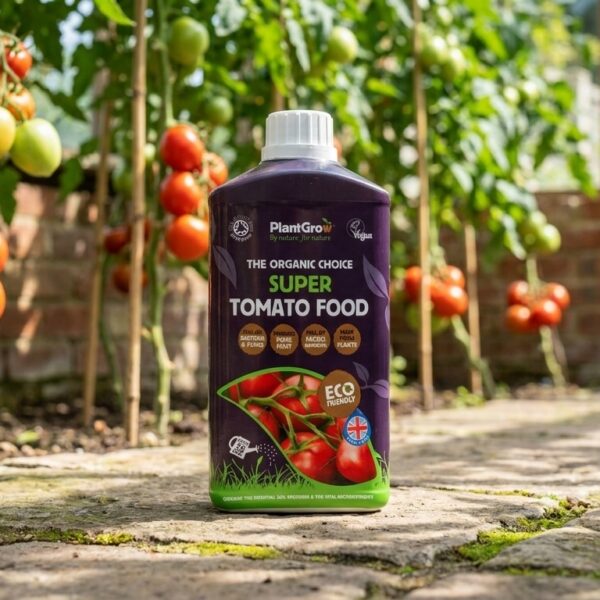 PlantGrow Super Tomato Food bottle displayed in a greenhouse with growing tomato plants behind it.