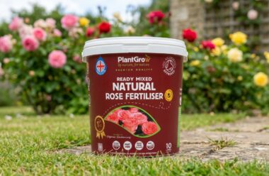 PlantGrow Ready Mixed Natural Rose Fertiliser, 10 litre tub, displayed in a garden setting with flowering roses behind.