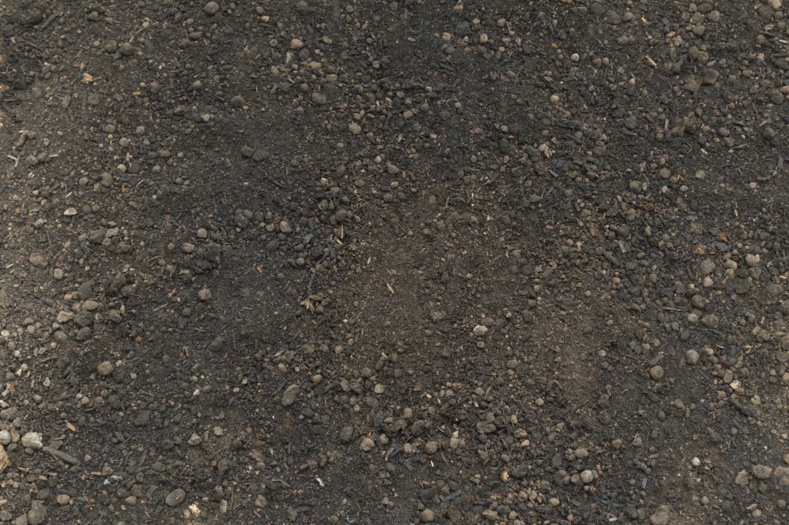 Close-up of PlantGrow Raised Bed Mix soil, showing screened topsoil, compost and organic fibre blend.
