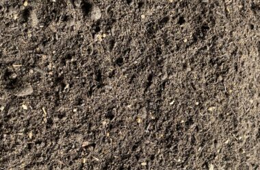 PlantGrow Lawn Dressing Soil Mix, a fine-textured topsoil blend with organic fibre for lawn levelling and repair.