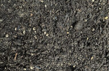 Close-up of PlantGrow Raised Bed Mix soil showing screened topsoil, peat-free compost and organic fibre blend.