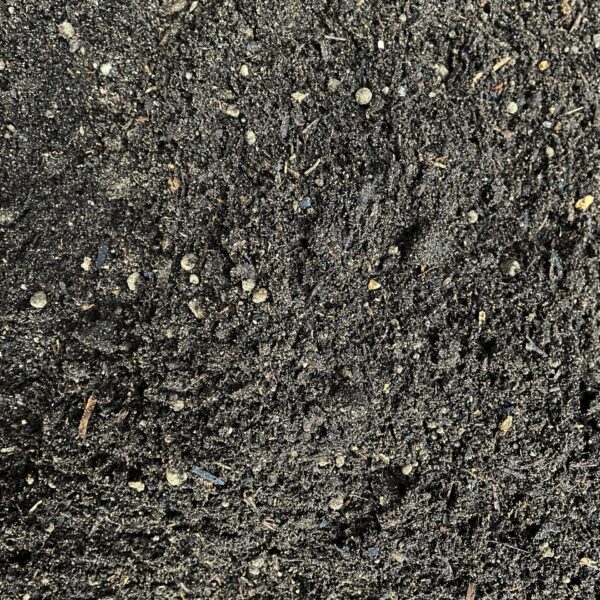 Close-up of PlantGrow Raised Bed Mix soil showing screened topsoil, peat-free compost and organic fibre blend.