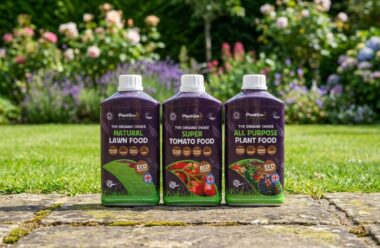 Three 1-litre bottles of PlantGrow organic liquid plant food: Natural Lawn Food, Super Tomato Food, and All Purpose Plant Food, displayed on stone paving with flowering garden background.