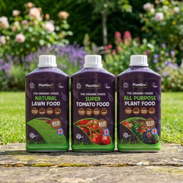 Three 1-litre bottles of PlantGrow organic liquid plant food: Natural Lawn Food, Super Tomato Food, and All Purpose Plant Food, displayed on stone paving with flowering garden background.