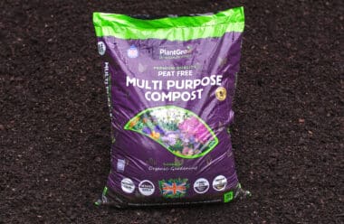 PlantGrow peat-free multi-purpose compost single bag with purple packaging on dark soil background.