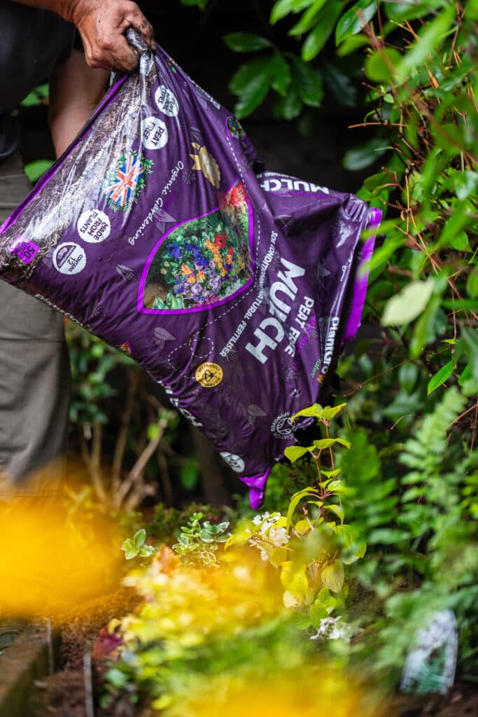 PlantGrow organic mulch being poured from purple branded bag onto garden soil amongst flowering plants and foliage.